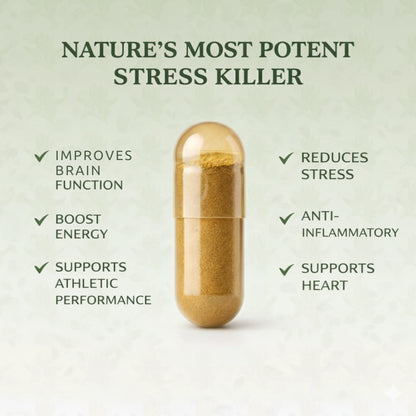 Zephario® StressRelief Rhodiola Rosea