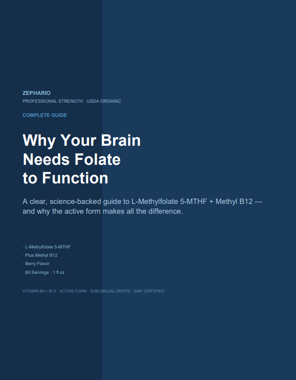 Zephario_ The Methylation Blueprint
